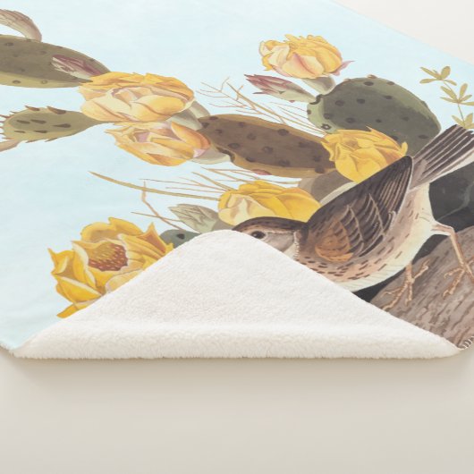 Audubon Vesper Sparrow und Prickly Pear Cactus Sherpadecke (3/4)
