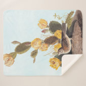 Audubon Vesper Sparrow und Prickly Pear Cactus Sherpadecke (Vorderseite (Horizontal))