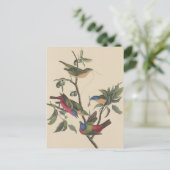Audubon Vibrant Painted Bunting Wildlife Painting Postkarte (Stehend Vorderseite)