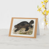 Audubon - Vielfrass Karte (Gelbe Blume)