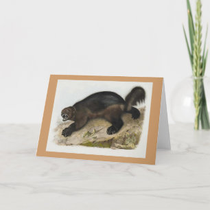 Audubon - Vielfrass Karte