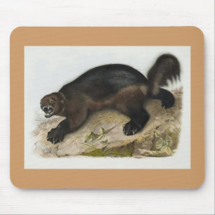Audubon - Vielfrass Mousepad