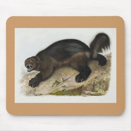 Audubon - Vielfrass Mousepad (Vorne)