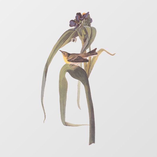 Audubon Vigor's Vireo Songbird Fensteraufkleber (Blatt)