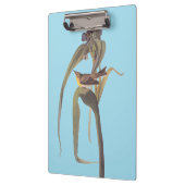 Audubon Vigor's Vireo Songbird Klemmbrett (Links)