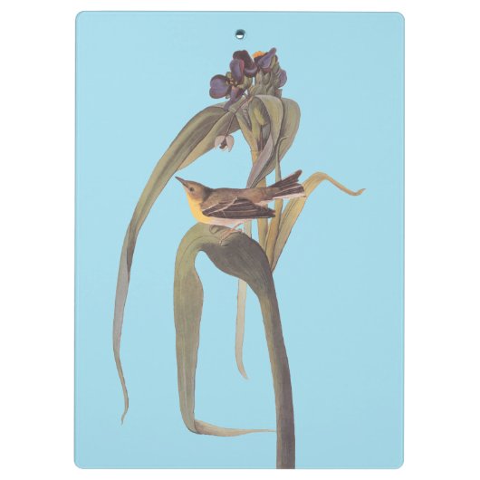 Audubon Vigor's Vireo Songbird Klemmbrett (Rückseite)