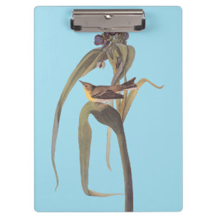 Audubon Vigor's Vireo Songbird Klemmbrett