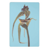 Audubon Vigor's Vireo Songbird Mini Klemmbrett (Rückseite)