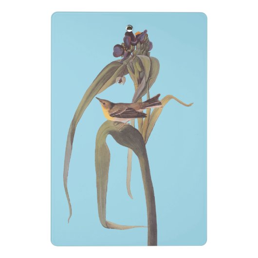 Audubon Vigor's Vireo Songbird Mini Klemmbrett (Rückseite)