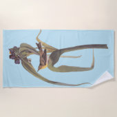 Audubon Vigor's Vireo Songbird Strandtuch (Vorderseite)