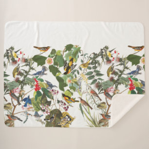 Audubon Vogel-Collagen-wild lebende Tiere Sherpa Sherpadecke