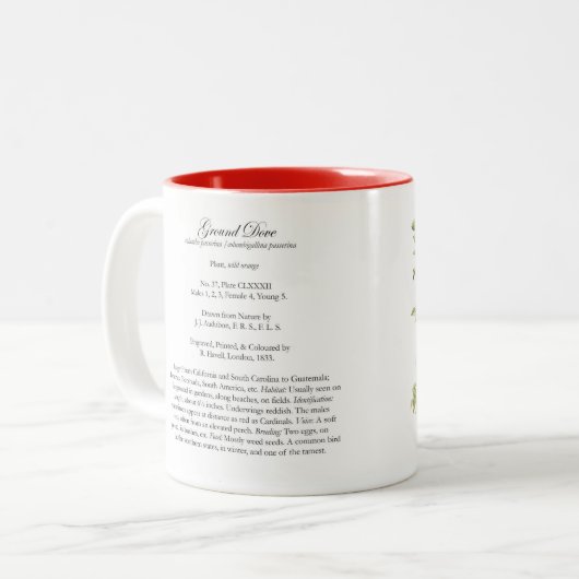 Audubon Vogel-Tasse, Boden tauchte, 15 Unze. Zweifarbige Tasse (Vorderseite Links)