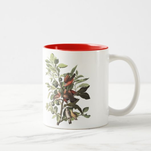 Audubon Vogel-Tasse, Boden tauchte, 15 Unze. Zweifarbige Tasse (Rechts)