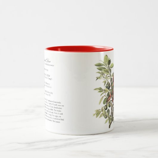 Audubon Vogel-Tasse, Boden tauchte, 15 Unze. Zweifarbige Tasse (Mittel)