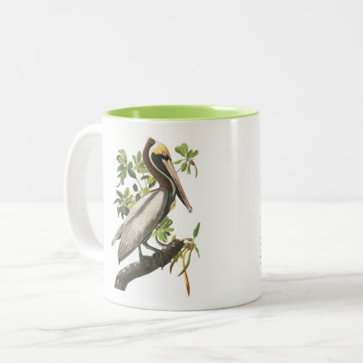 Audubon Vogel-Tasse, Brown-Pelikan, 15 Unze. Zweifarbige Tasse (Vorderseite Links)