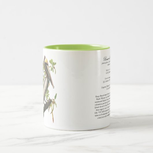 Audubon Vogel-Tasse, Brown-Pelikan, 15 Unze. Zweifarbige Tasse (Mittel)