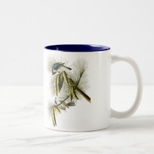 Audubon Vogel-Tasse, büscheliger Titmouse, 15 Unze Zweifarbige Tasse