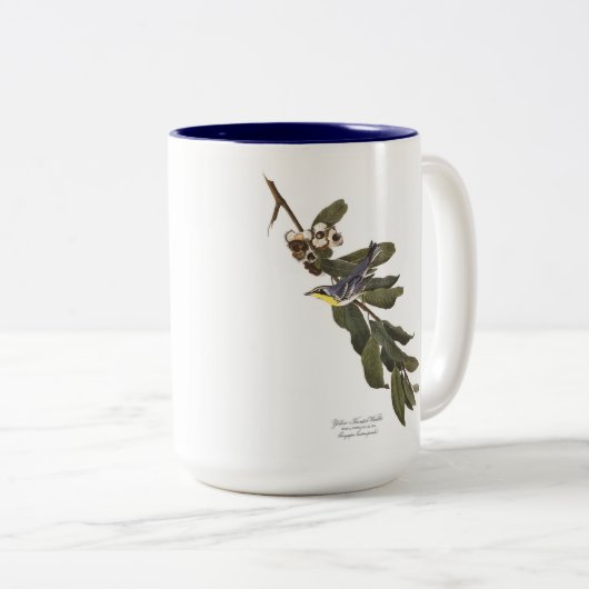 Audubon Vogel-Tasse, Gelb-Throated Trällerer, 15 Zweifarbige Tasse (VorderseiteRechts)
