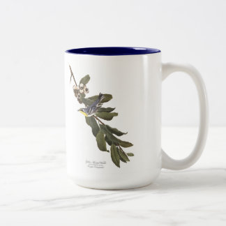 Audubon Vogel-Tasse, Gelb-Throated Trällerer, 15 Zweifarbige Tasse