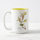 Audubon Vogel-Tasse, Kentucky-Trällerer, 15 Unze Zweifarbige Tasse (Links)