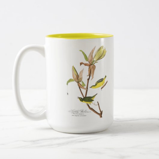 Audubon Vogel-Tasse, Kentucky-Trällerer, 15 Unze Zweifarbige Tasse (Links)