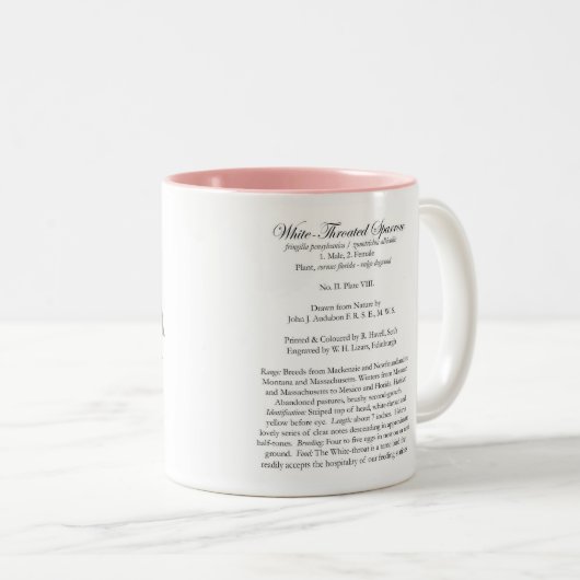 Audubon Vogel-Tasse, Weiß-Throated Spatz, 15 Unze Zweifarbige Tasse (VorderseiteRechts)