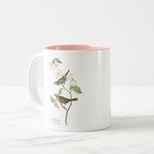 Audubon Vogel-Tasse, Weiß-Throated Spatz, 15 Unze Zweifarbige Tasse (Vorderseite Links)
