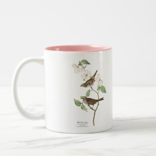 Audubon Vogel-Tasse, Weiß-Throated Spatz, 15 Unze Zweifarbige Tasse (Links)