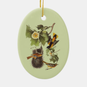 Audubon Vögel Troupial Vintage Kunst Keramik Ornament