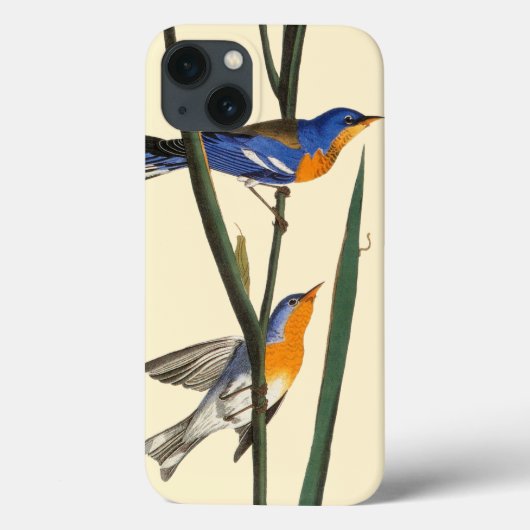 Audubon: Warbler Case-Mate iPhone Hülle (Rückseite)