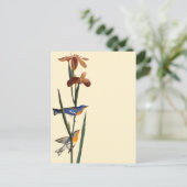 Audubon: Warbler Postkarte (Stehend Vorderseite)
