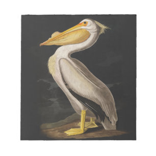 Audubon Weißer Pelikan Vogel Vintage-Druck Notizblock
