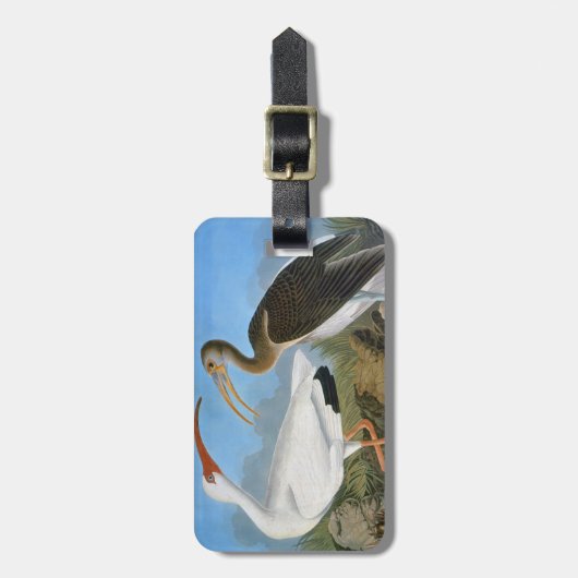 Audubon: Weißes IBIS Gepäckanhänger (Vorderseite vertikal)
