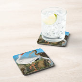 Audubon: Weißes IBIS Untersetzer (Rechte Seite)