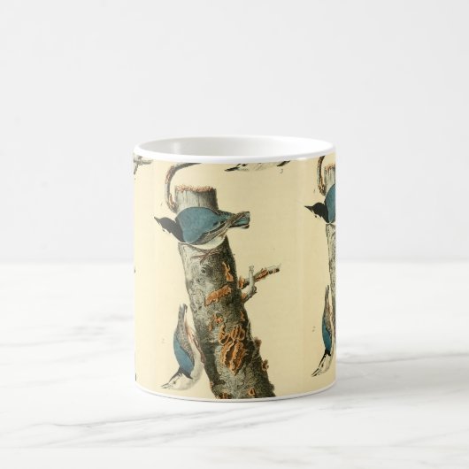 Audubon White-Brust Nuthatch-Vogelmalerei Kaffeetasse (Mittel)