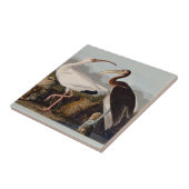Audubon White Ibis Bird Wildlife Fliese (Seite)