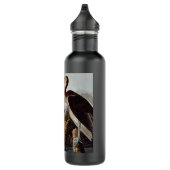 Audubon White Ibis Bird Wildlife Trinkflasche (Rechts)