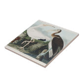 Audubon White lbis Bird Wildlife Painting Fliese (Seite)