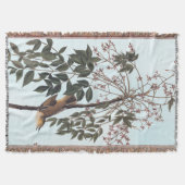 Audubon White Mit Augen Vireo Song Bird Kunst Decke (Vorderseite)