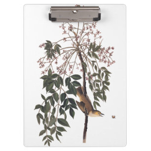 Audubon White Mit Augen Vireo Song Bird Kunst Klemmbrett