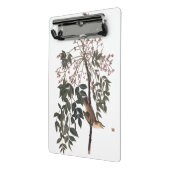 Audubon White Mit Augen Vireo Song Bird Kunst Mini Klemmbrett (Gewinkelt2)