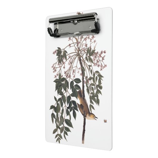 Audubon White Mit Augen Vireo Song Bird Kunst Mini Klemmbrett (Gewinkelt2)
