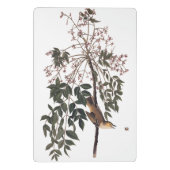 Audubon White Mit Augen Vireo Song Bird Kunst Mini Klemmbrett (Rückseite)