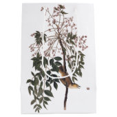 Audubon White Mit Augen Vireo Song Bird Kunst Mittlere Geschenktüte (Rückseite)