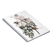 Audubon White Mit Augen Vireo Song Bird Kunst Notizblock (Rechte Seite)