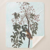 Audubon White Mit Augen Vireo Song Bird Kunst Sherpadecke (Vorderseite)