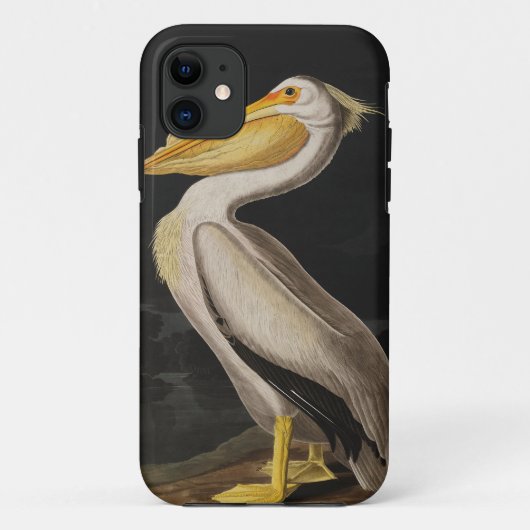 Audubon White Pelican Bird America Case-Mate iPhone Hülle (Rückseite)