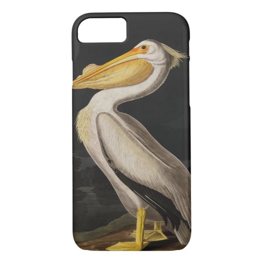 Audubon White Pelican Bird America Case-Mate iPhone Hülle (Rückseite)