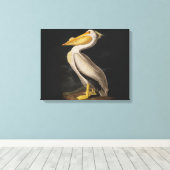 Audubon White Pelican Bird America Leinwanddruck (Insitu (Holzboden))
