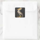 Audubon White Pelican Bird America Quadratischer Aufkleber (Tasche)